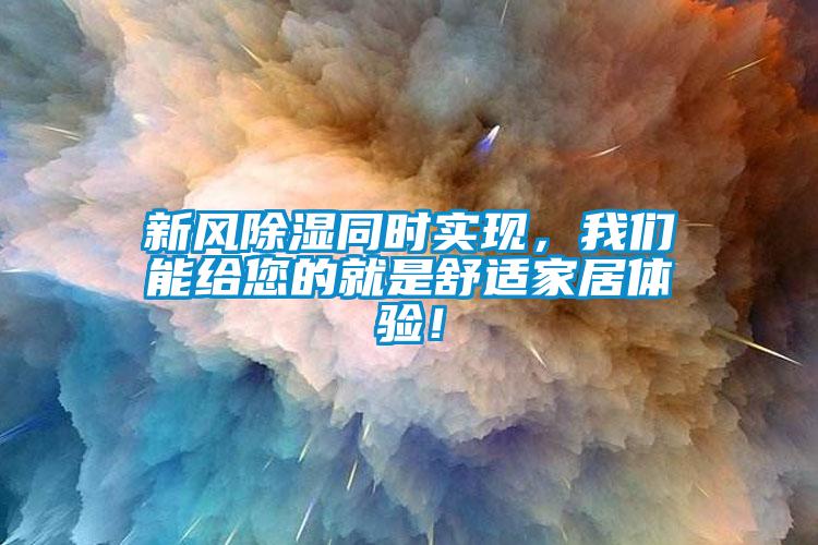 新风除湿同时实现，我们能给您的就是舒适家居体验！