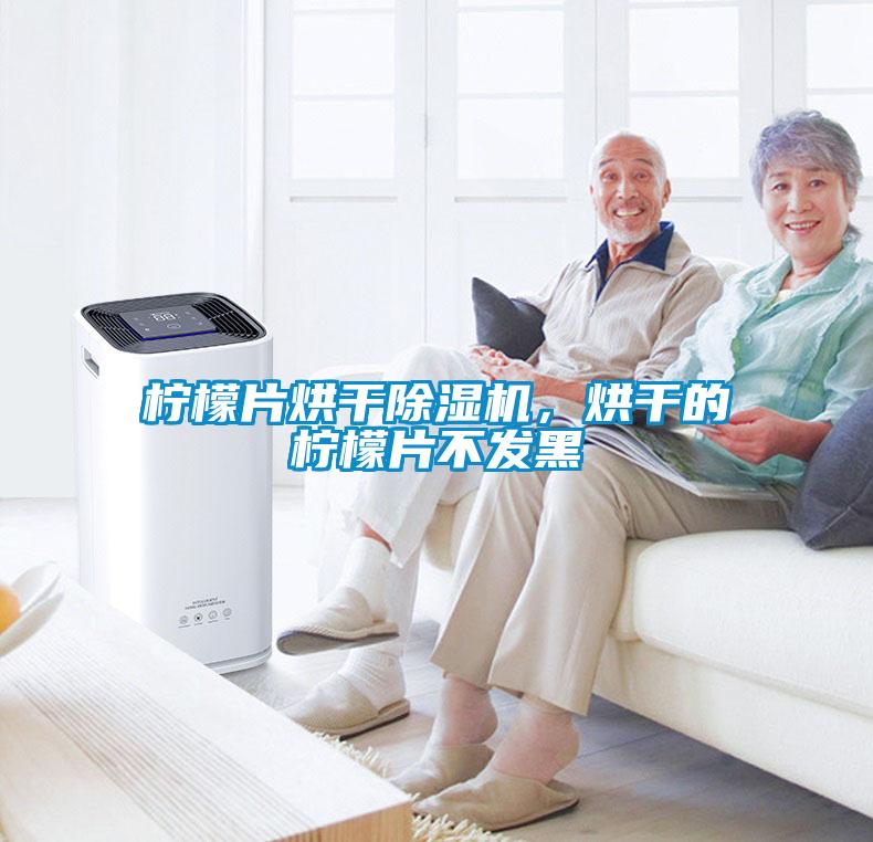 柠檬片烘干除湿机，烘干的柠檬片不发黑