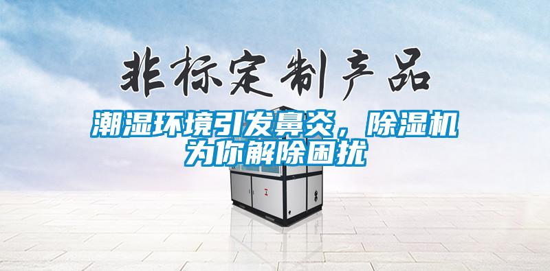 潮湿环境引发鼻炎，除湿机为你解除困扰