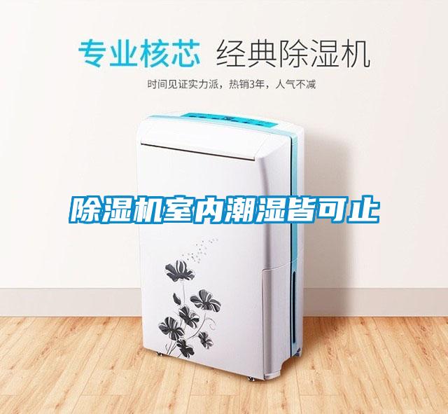 除湿机室内潮湿皆可止