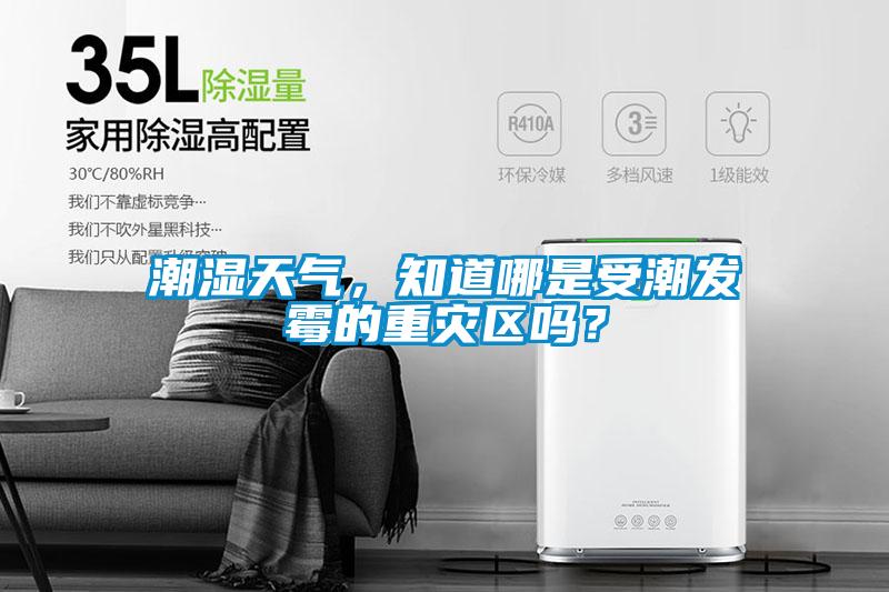 潮湿天气，知道哪是受潮发霉的重灾区吗？