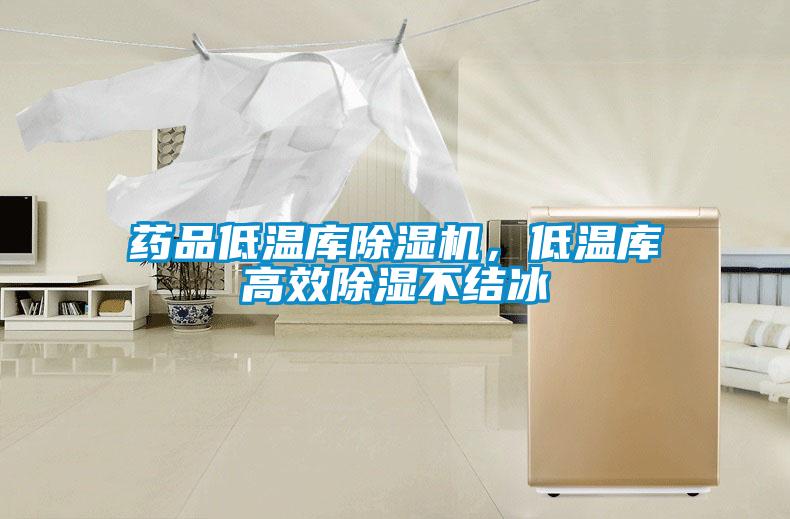 药品低温库除湿机，低温库高效除湿不结冰