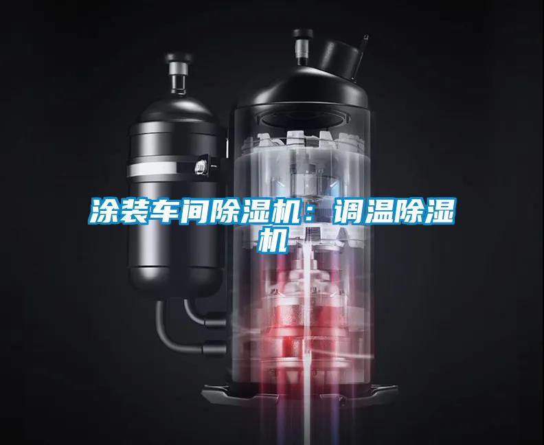 涂装车间除湿机:调温除湿机