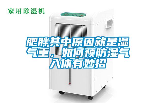 肥胖其中原因就是湿气重，如何预防湿气入体有妙招