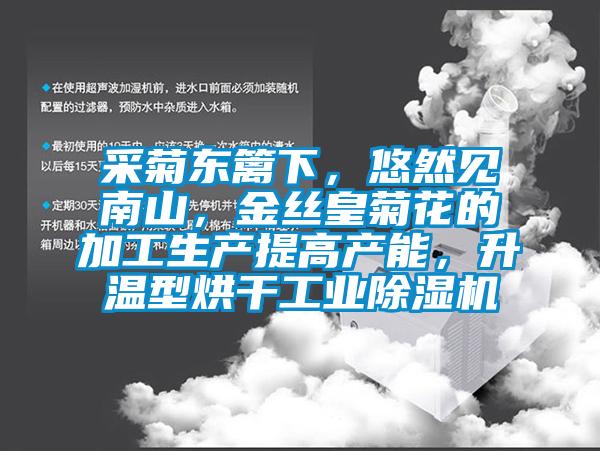 采菊东篱下，悠然见南山，金丝皇菊花的加工生产提高产能，升温型烘干工业除湿机