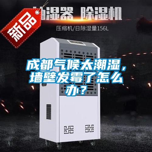 成都气候太潮湿，墙壁发霉了怎么办？