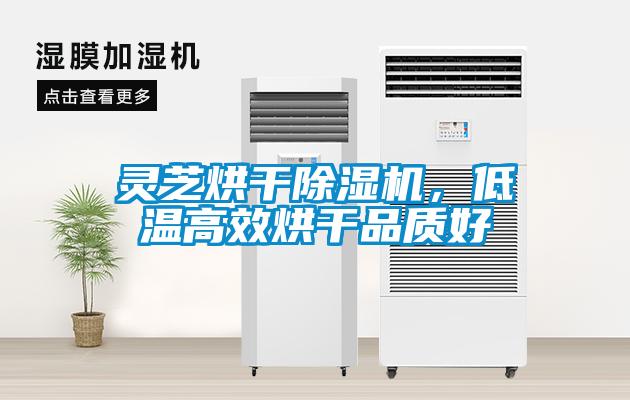 灵芝烘干除湿机，低温高效烘干品质好