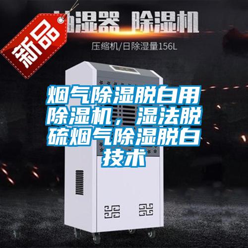 烟气除湿脱白用除湿机，湿法脱硫烟气除湿脱白技术