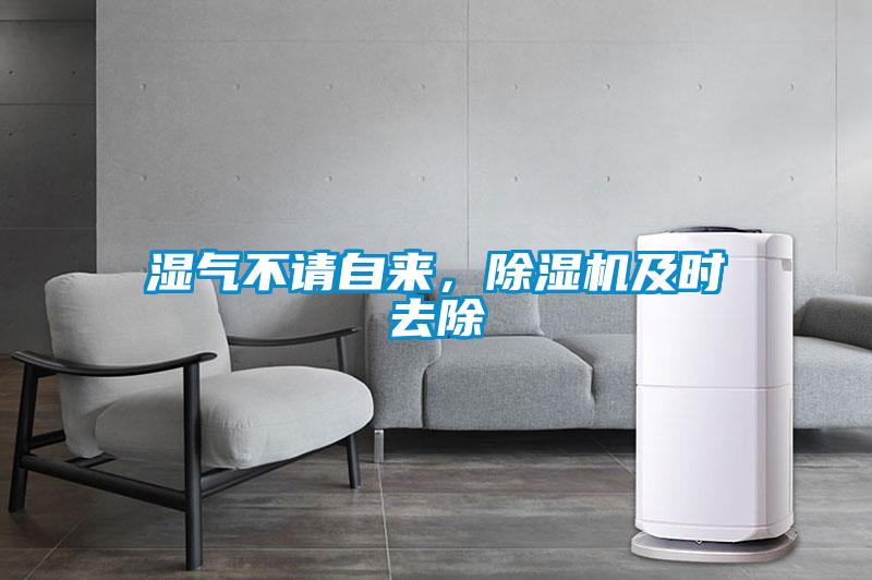 湿气不请自来，除湿机及时去除
