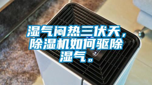 湿气闷热三伏天，除湿机如何驱除湿气。