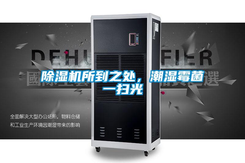 除湿机所到之处，潮湿霉菌一扫光