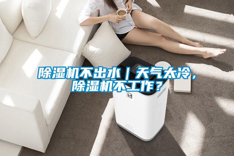 除湿机不出水｜天气太冷，除湿机不工作？