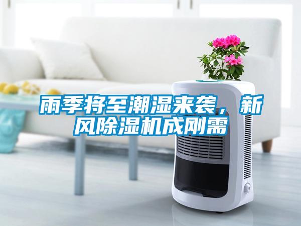 雨季将至潮湿来袭，新风除湿机成刚需
