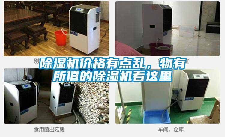除湿机价格有点乱，物有所值的除湿机看这里