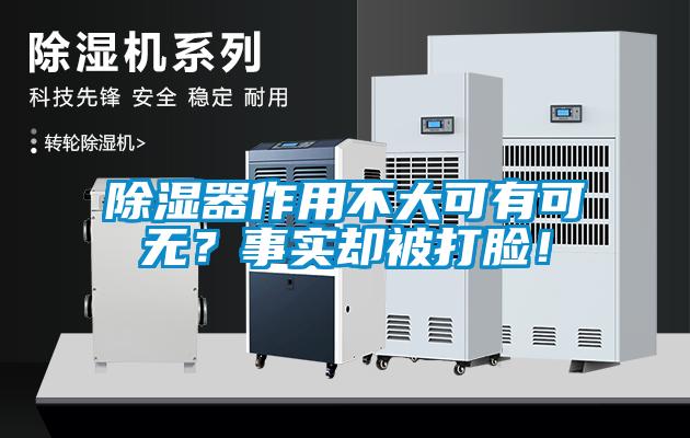 除湿器作用不大可有可无？事实却被打脸！