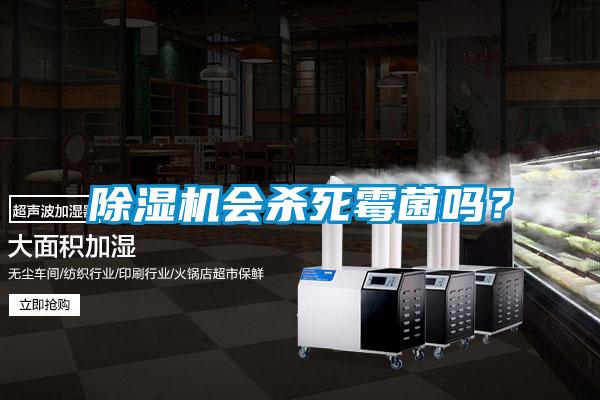 除湿机会杀死霉菌吗？
