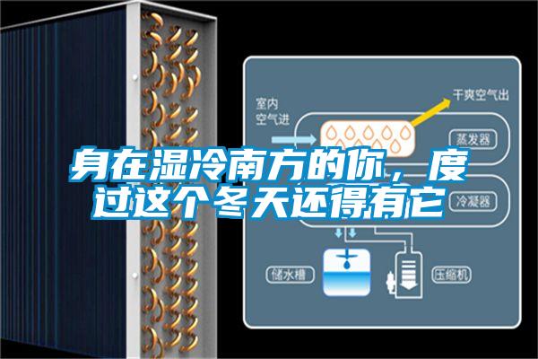 身在湿冷南方的你，度过这个冬天还得有它