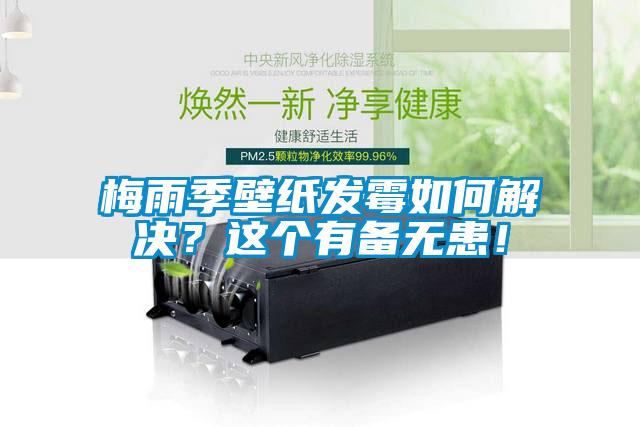 梅雨季壁纸发霉如何解决？这个有备无患！