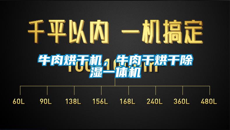 牛肉烘干机，牛肉干烘干除湿一体机
