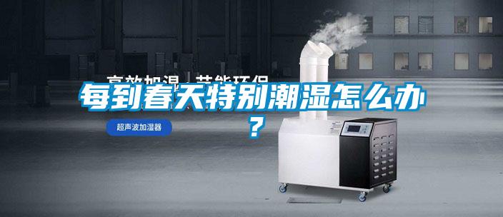 每到春天特别潮湿怎么办？