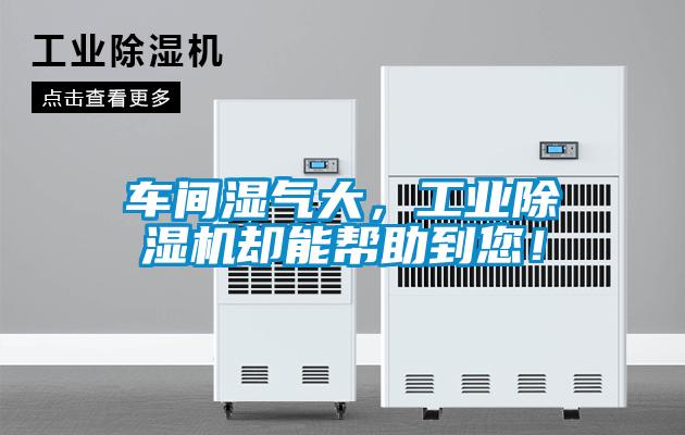 车间湿气大，工业除湿机却能帮助到您！