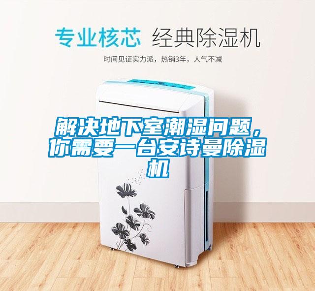 解决地下室潮湿问题，你需要一台安诗曼除湿机