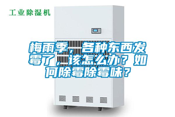 梅雨季，各种东西发霉了，该怎么办？如何除霉除霉味？