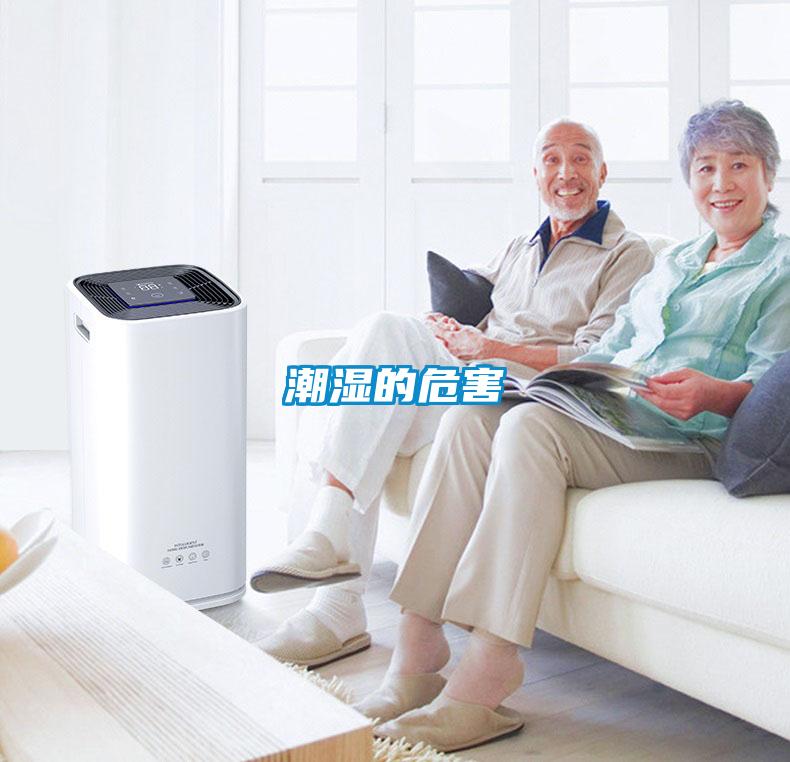 潮湿的危害