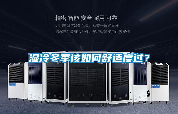 湿冷冬季该如何舒适度过？
