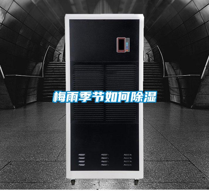 梅雨季节如何除湿