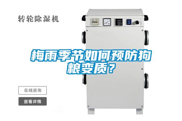 梅雨季节如何预防狗粮变质?