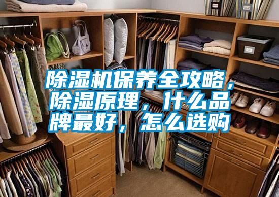 除湿机保养全攻略，除湿原理，什么品牌最好，怎么选购