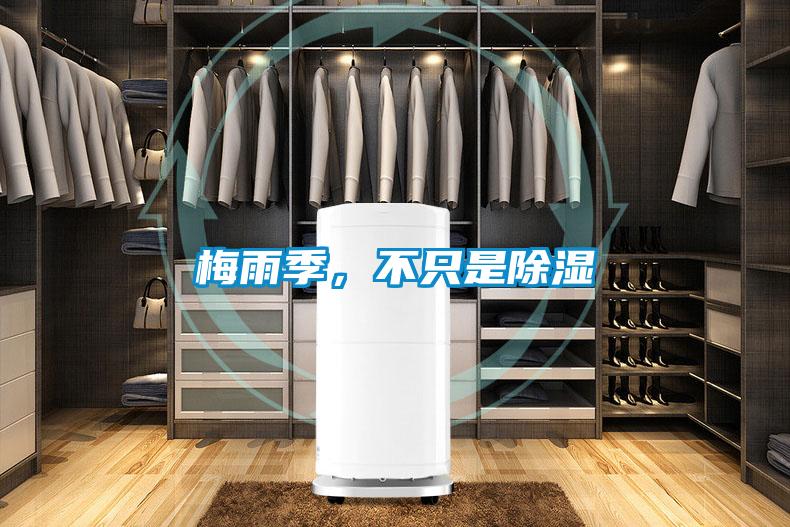 梅雨季，不只是除湿
