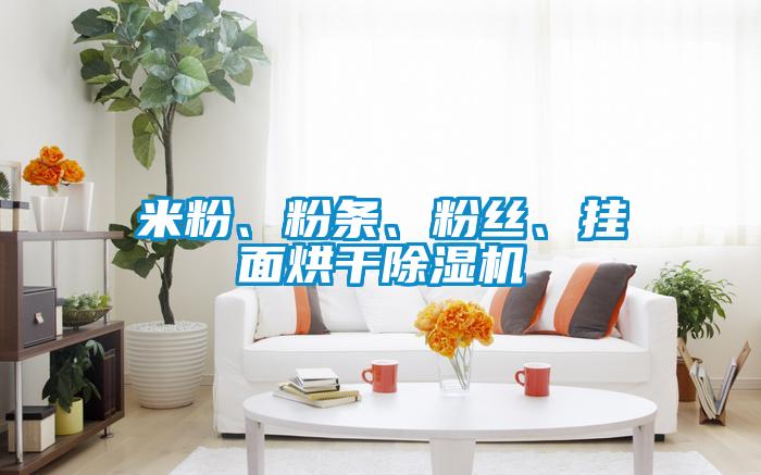 米粉、粉条、粉丝、挂面烘干除湿机