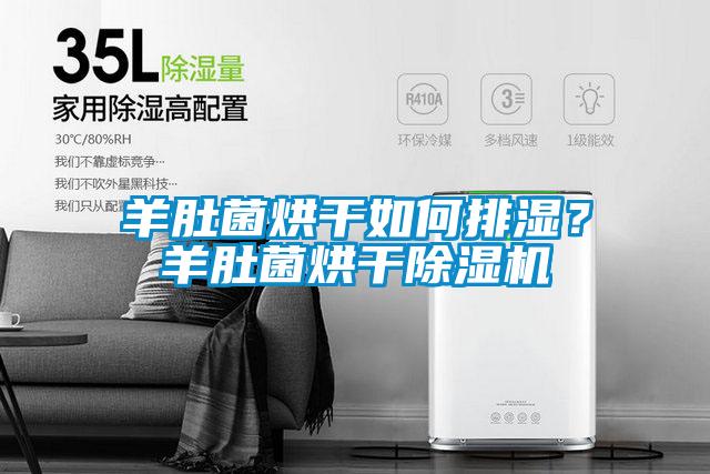 羊肚菌烘干如何排湿？羊肚菌烘干除湿机