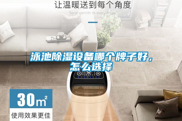 泳池除湿设备哪个牌子好，怎么选择