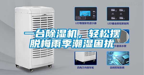 一台除湿机，轻松摆脱梅雨季潮湿困扰