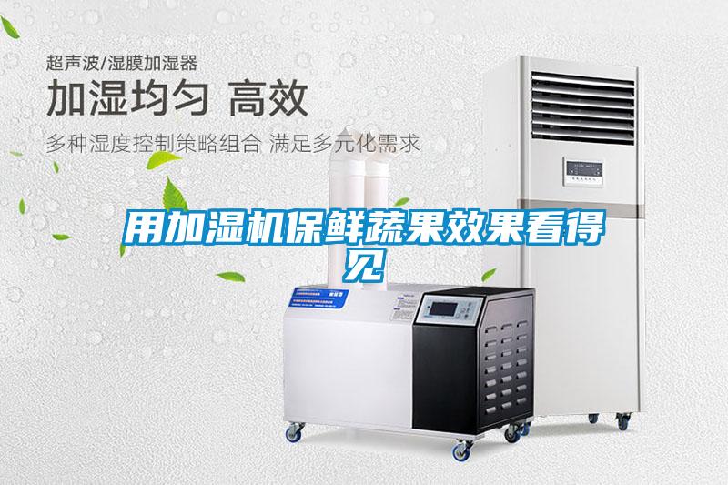 用加湿机保鲜蔬果效果看得见