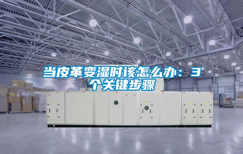 当皮革变湿时该怎么办：3个关键步骤