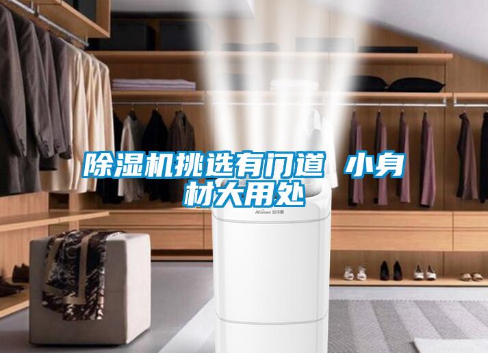 除湿机挑选有门道 小身材大用处