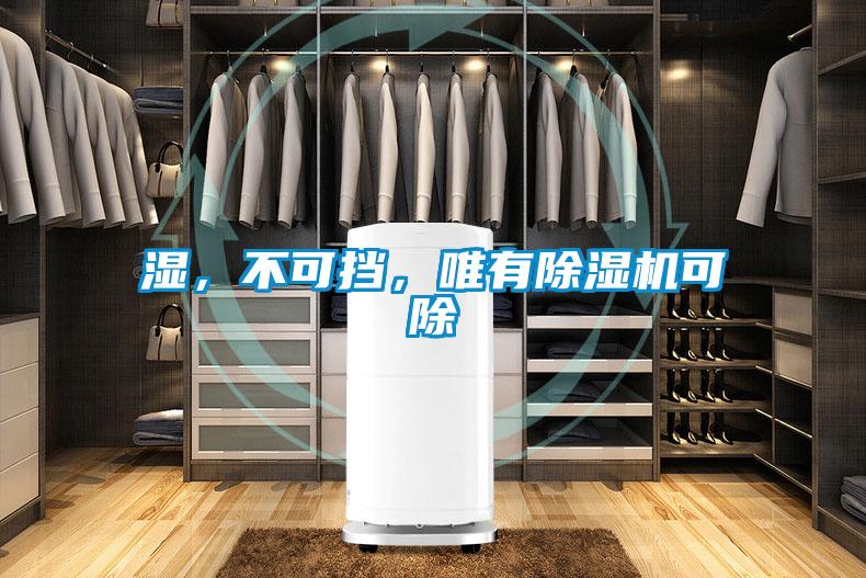 湿，不可挡，唯有除湿机可除