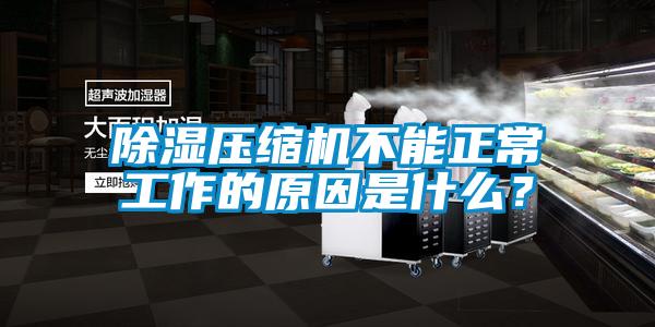 除湿压缩机不能正常工作的原因是什么？