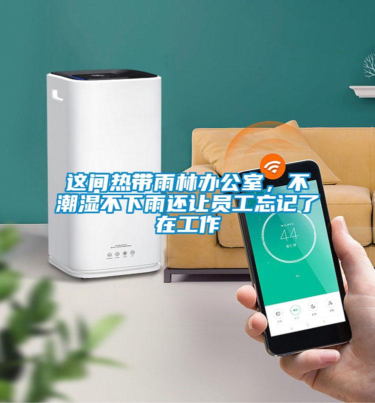 这间热带雨林办公室，不潮湿不下雨还让员工忘记了在工作