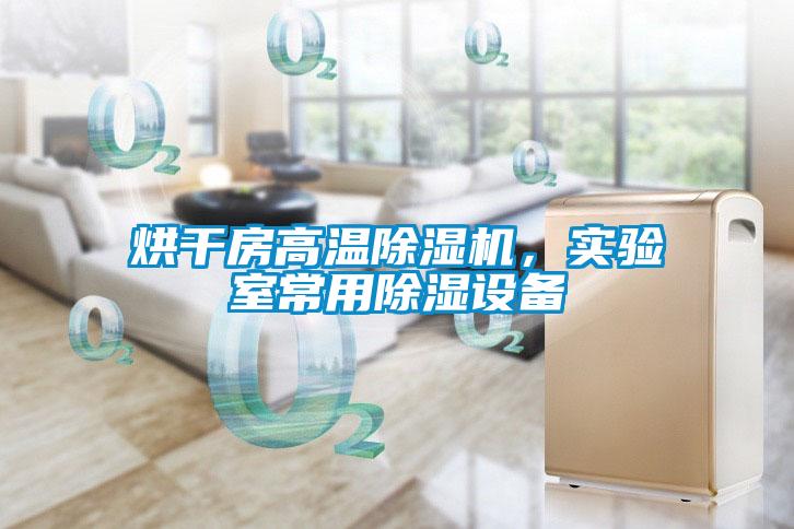 烘干房高温除湿机，实验室常用除湿设备
