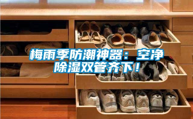梅雨季防潮神器：空净除湿双管齐下！