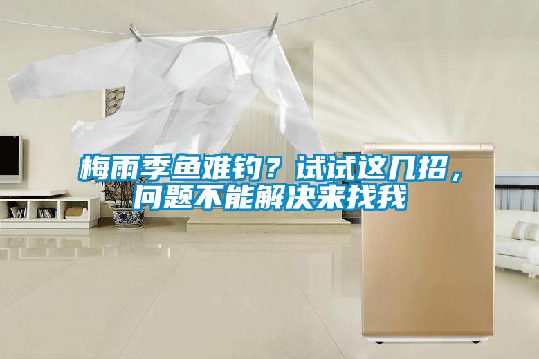 梅雨季鱼难钓？试试这几招，问题不能解决来找我