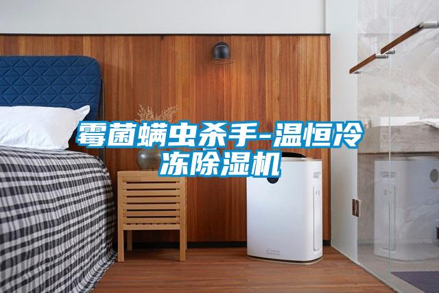霉菌螨虫杀手-温恒冷冻除湿机