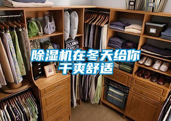 除湿机在冬天给你干爽舒适