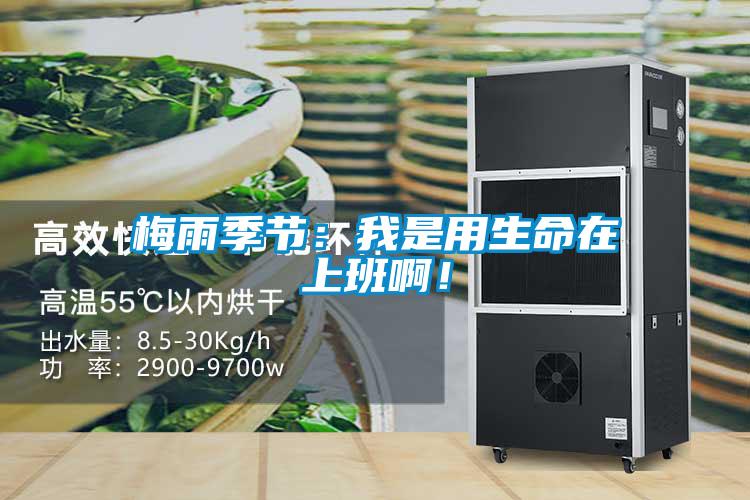梅雨季节：我是用生命在上班?。?/></p>
						    <p style=
