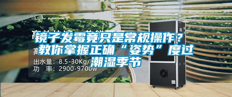 镜子发霉竟只是常规操作？ 教你掌握正确“姿势”度过潮湿季节